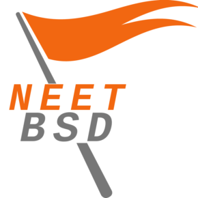 NEETBSD logo